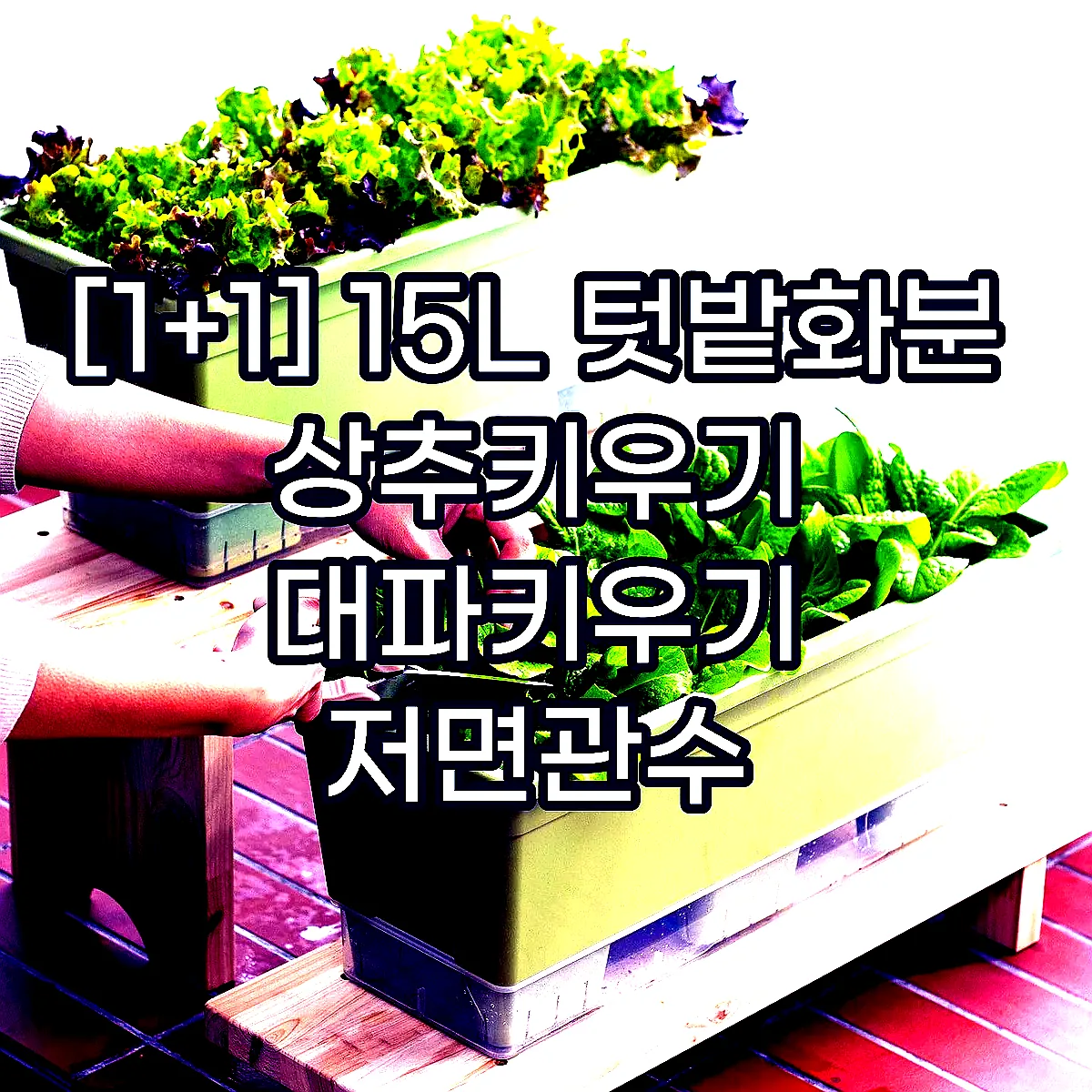 [1+1] 15L 텃밭화분 상추키우기 대파키우기 저면관수 베란다텃밭화분 이미지 1