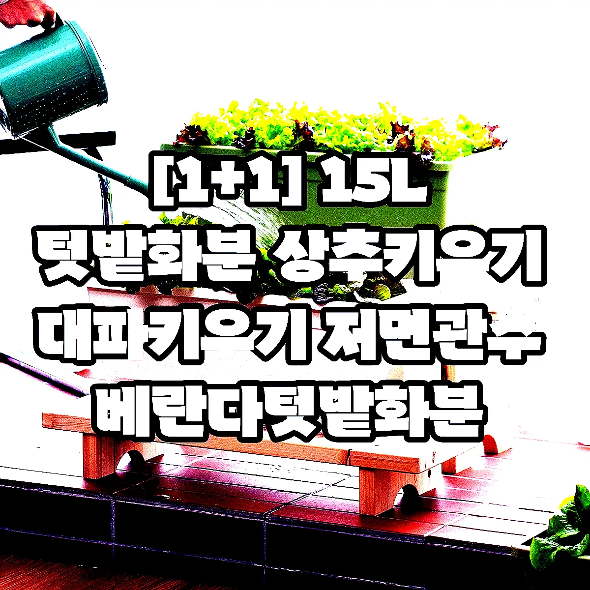 [1+1] 15L 텃밭화분 상추키우기 대파키우기 저면관수 베란다텃밭화분 이미지 2