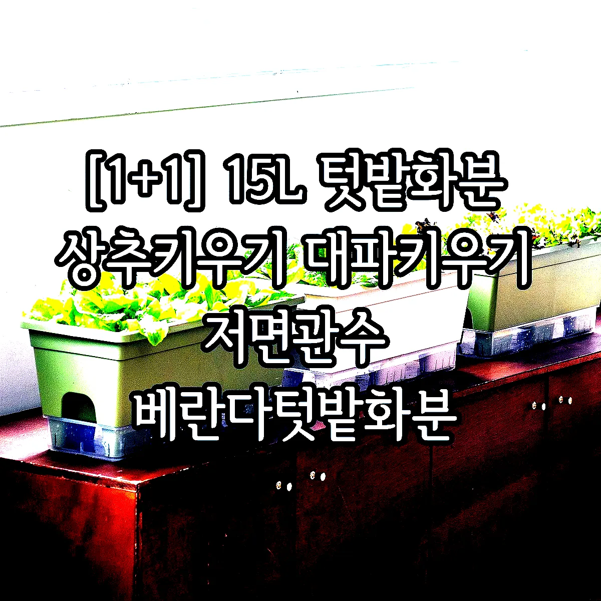 [1+1] 15L 텃밭화분 상추키우기 대파키우기 저면관수 베란다텃밭화분 이미지 3