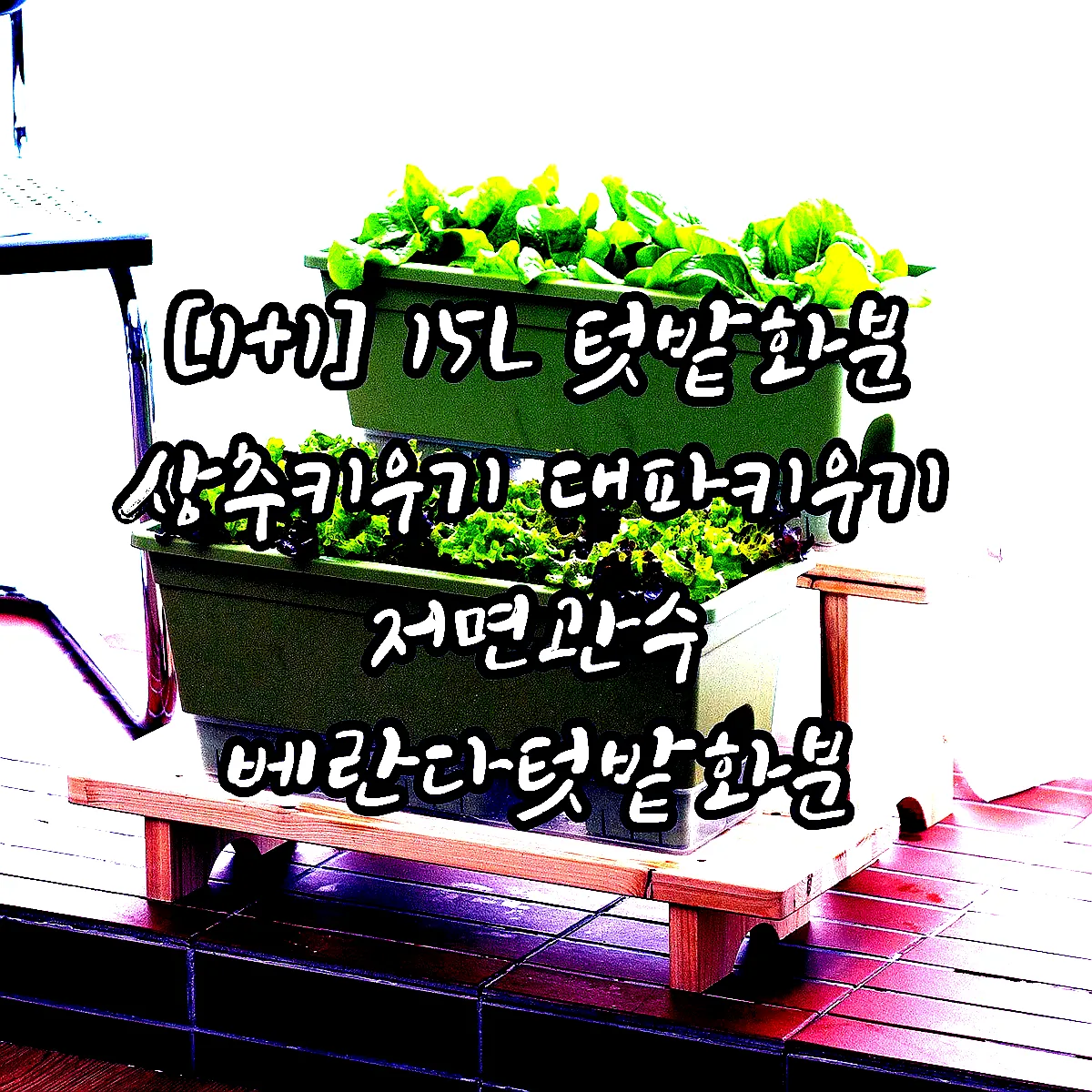 [1+1] 15L 텃밭화분 상추키우기 대파키우기 저면관수 베란다텃밭화분 이미지 4