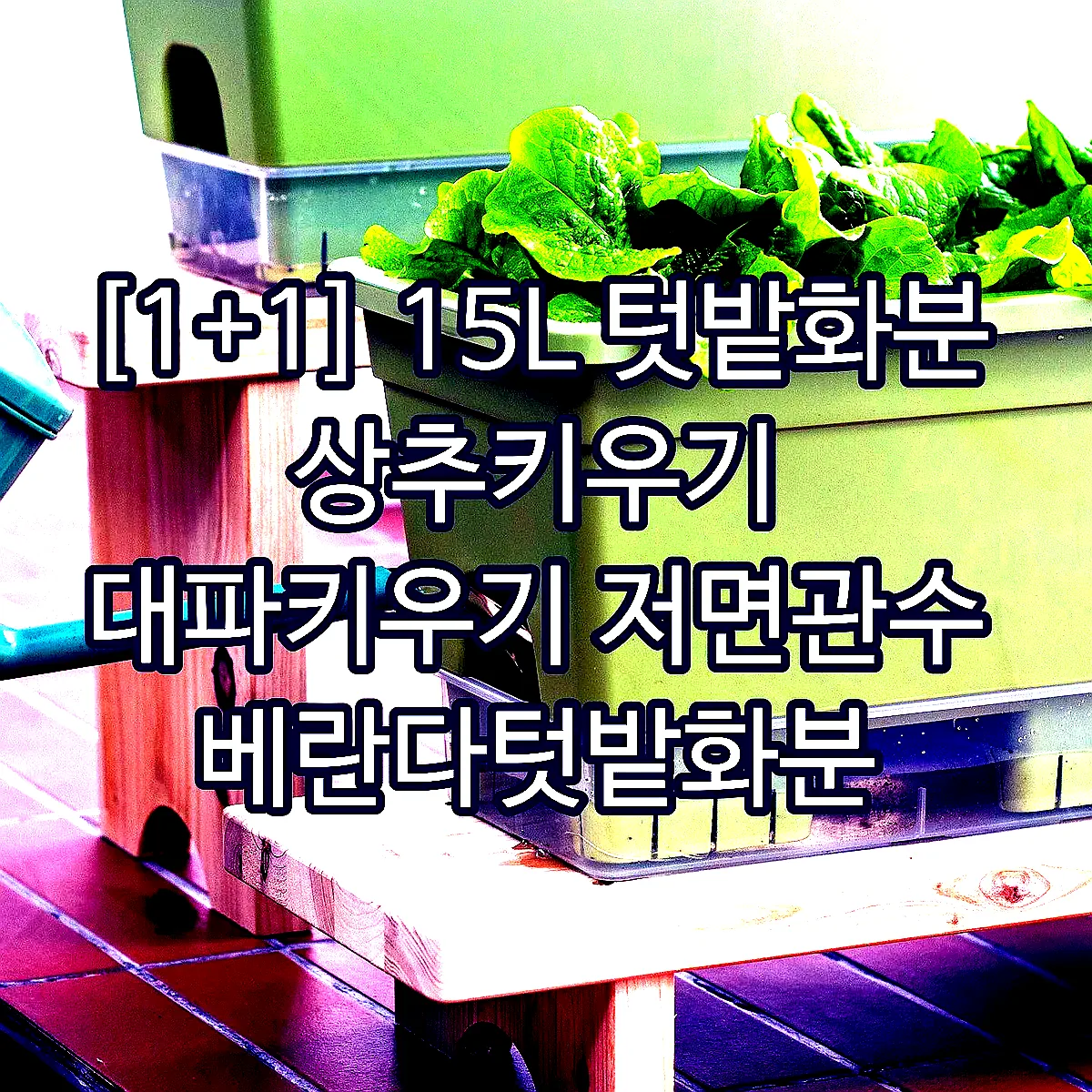 [1+1] 15L 텃밭화분 상추키우기 대파키우기 저면관수 베란다텃밭화분 이미지 5