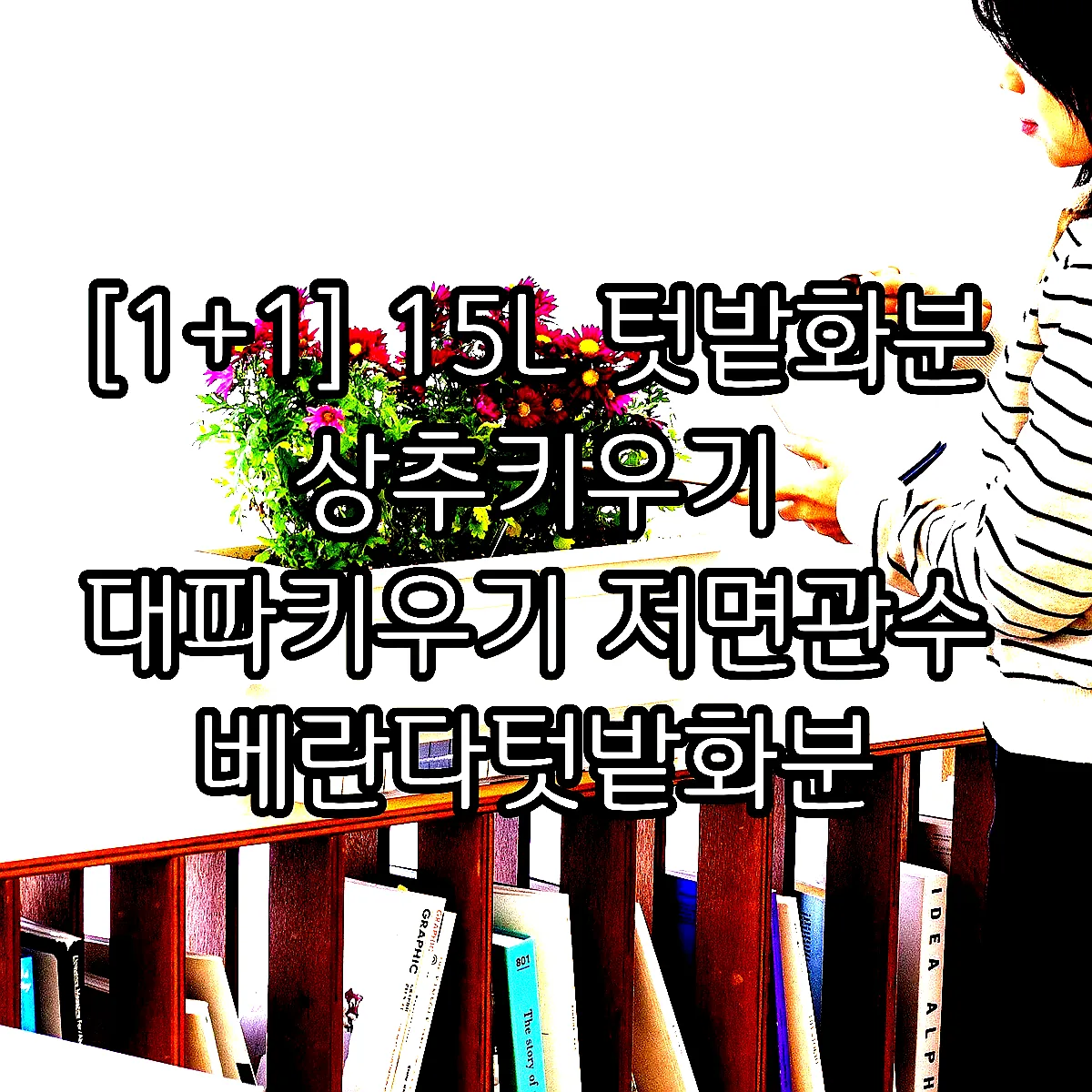 [1+1] 15L 텃밭화분 상추키우기 대파키우기 저면관수 베란다텃밭화분 이미지 6