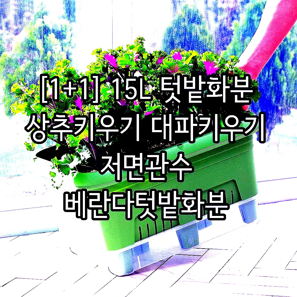 [1+1] 15L 텃밭화분 상추키우기 대파키우기 저면관수 베란다텃밭화분 이미지 8
