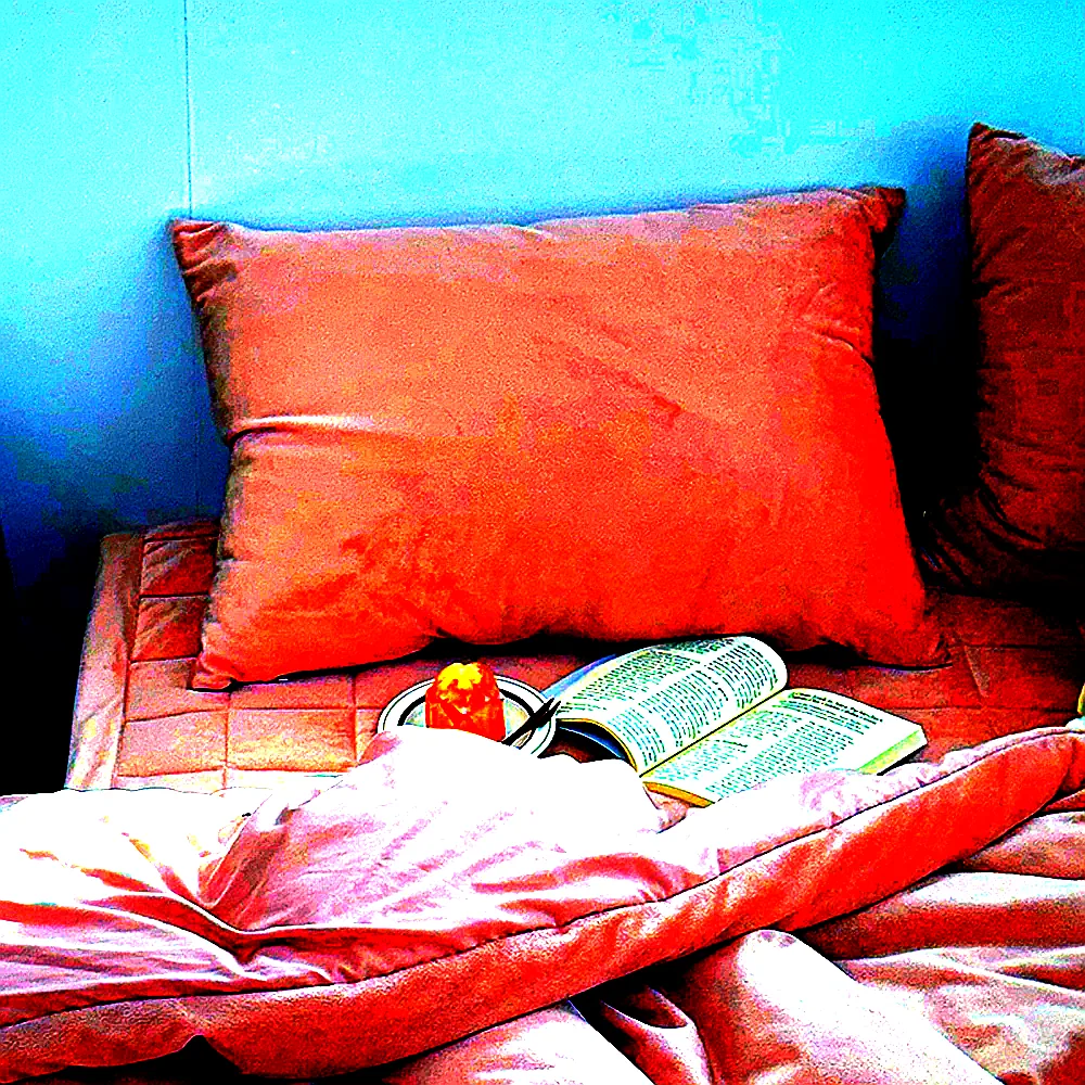 1+1 포근한 윈터테일 리버서블 워싱 밍크 겨울 극세사 베개커버 2장 스노우 폭스, 40x60cm 이미지 4 1+1 포근한 윈터테일 리버서블 워싱 밍크 겨울 극세사 베개커버 2장 스노우 폭스, 40x60cm 이미지 4