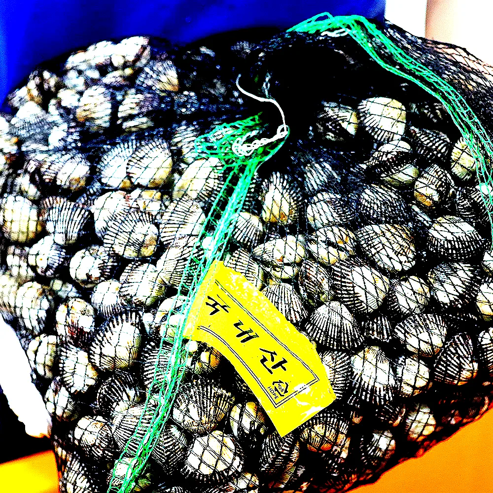 벌교 여자만 새꼬막 특대, 6kg, 1개 이미지 2