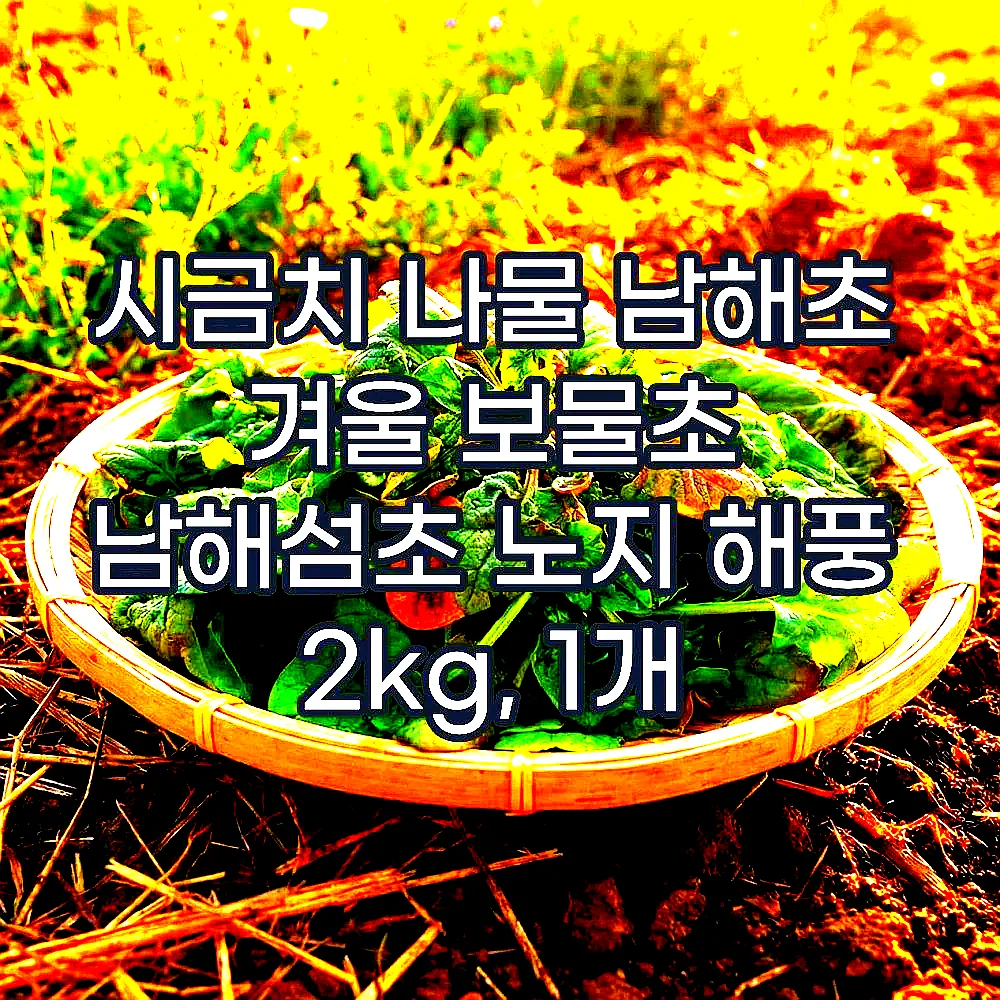 시금치 나물 남해초 겨울 보물초 남해섬초 노지 해풍 2kg, 1개 이미지 1 시금치 나물 남해초 겨울 보물초 남해섬초 노지 해풍 2kg, 1개 이미지 1