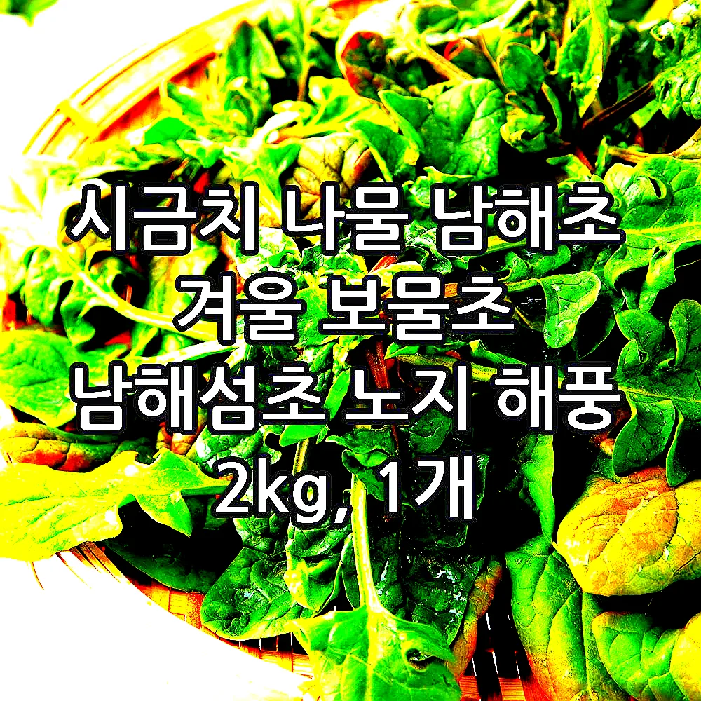 시금치 나물 남해초 겨울 보물초 남해섬초 노지 해풍 2kg, 1개 이미지 2 시금치 나물 남해초 겨울 보물초 남해섬초 노지 해풍 2kg, 1개 이미지 2