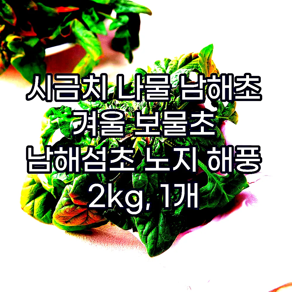 시금치 나물 남해초 겨울 보물초 남해섬초 노지 해풍 2kg, 1개 이미지 3 시금치 나물 남해초 겨울 보물초 남해섬초 노지 해풍 2kg, 1개 이미지 3