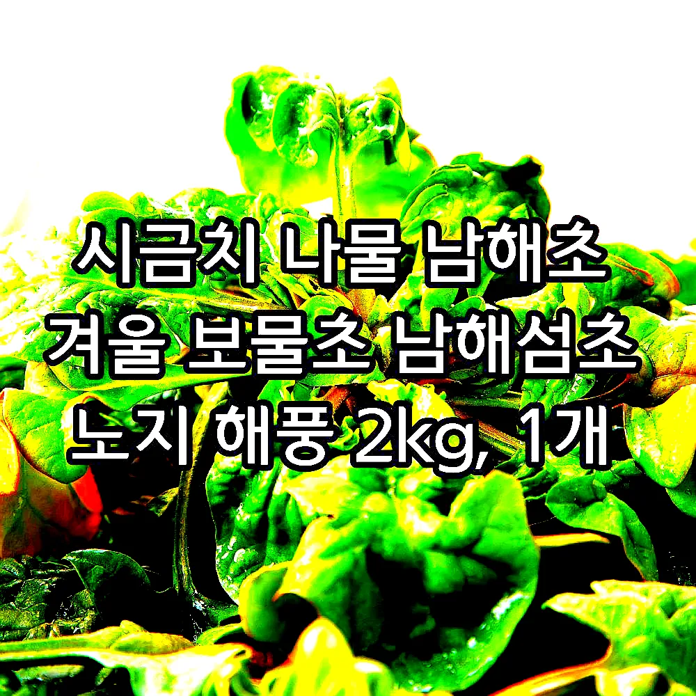 시금치 나물 남해초 겨울 보물초 남해섬초 노지 해풍 2kg, 1개 이미지 5 시금치 나물 남해초 겨울 보물초 남해섬초 노지 해풍 2kg, 1개 이미지 5