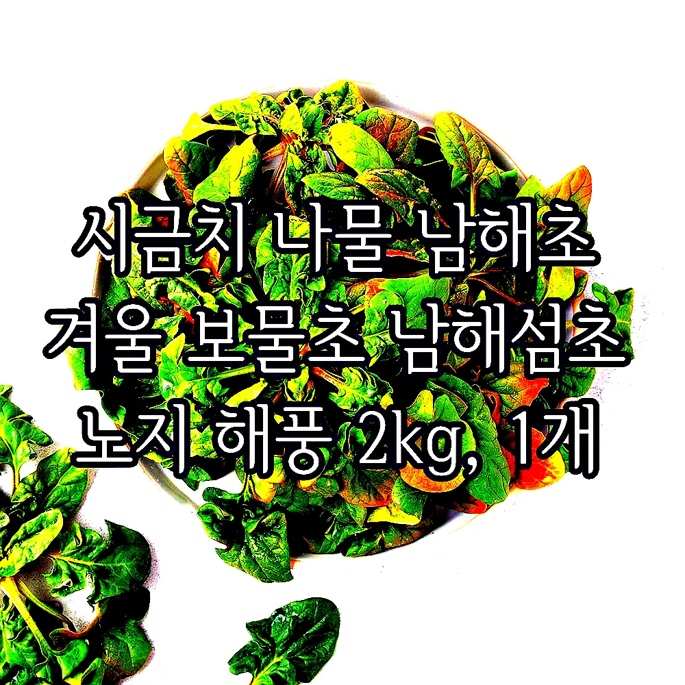 시금치 나물 남해초 겨울 보물초 남해섬초 노지 해풍 2kg, 1개 이미지 7 시금치 나물 남해초 겨울 보물초 남해섬초 노지 해풍 2kg, 1개 이미지 7