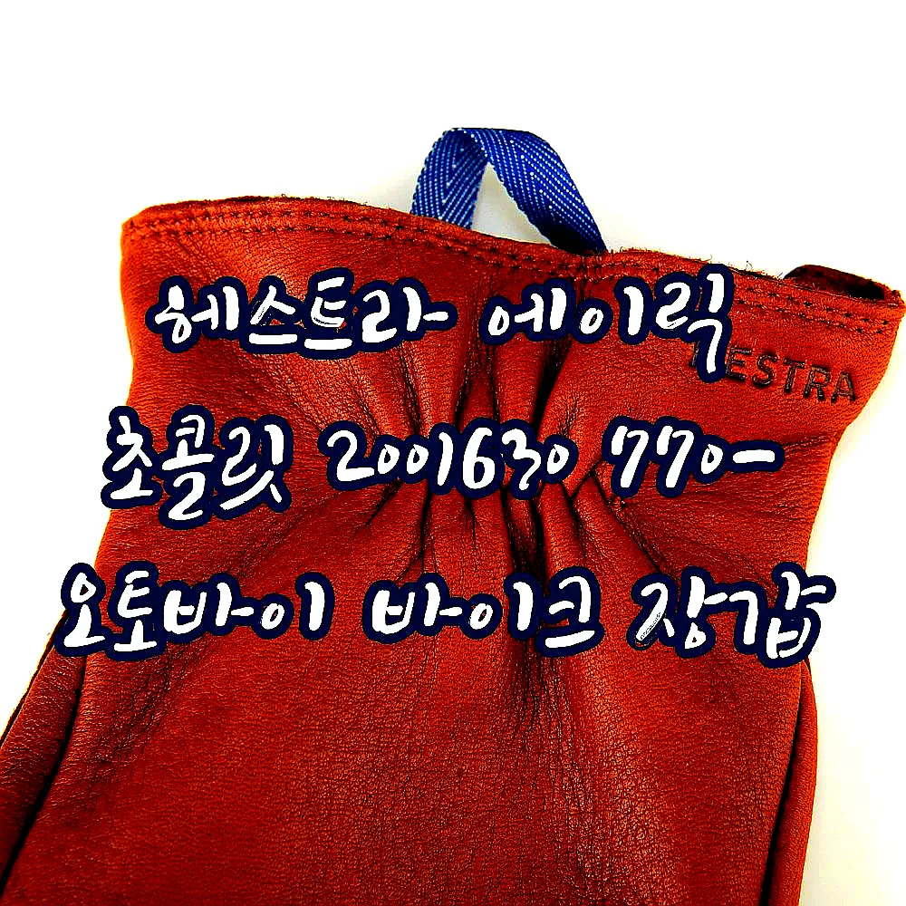 헤스트라 에이릭 초콜릿 2001630 770- 오토바이 바이크 장갑 이미지 4