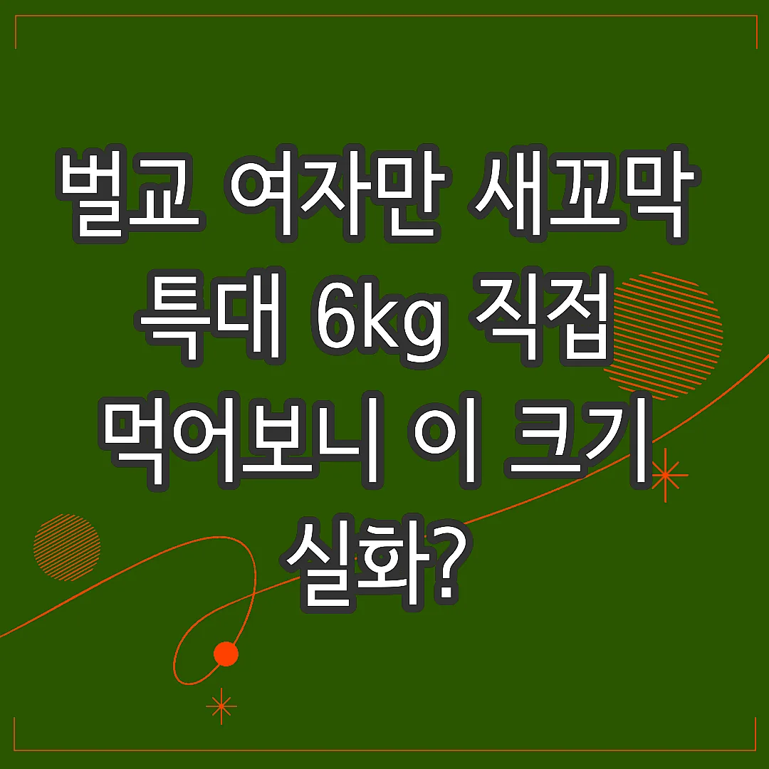 벌교 여자만 새꼬막 특대 6kg 직접 먹어보니 이 크기 실화? 썸네일